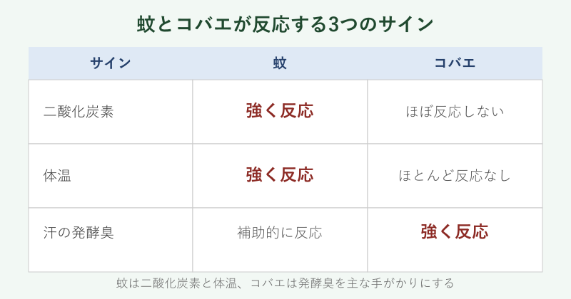 蚊とコバエが反応するサインの比較図