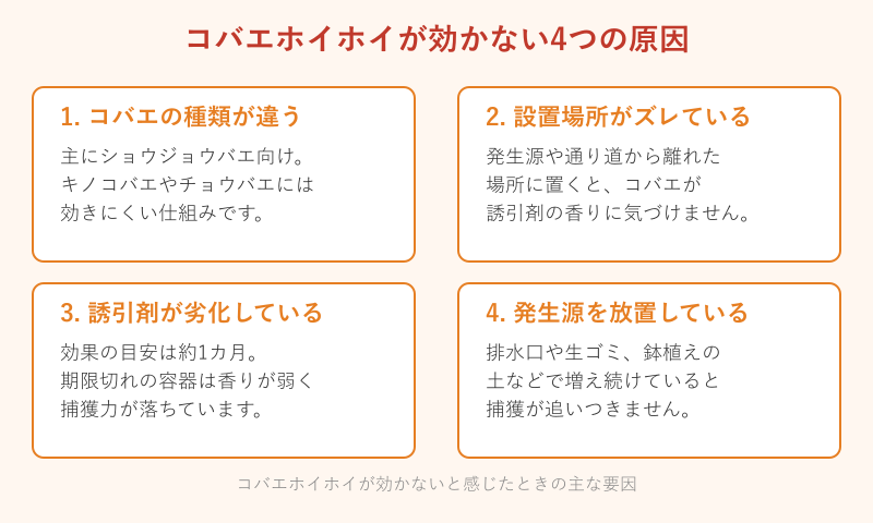コバエホイホイが効かない4つの原因の図解