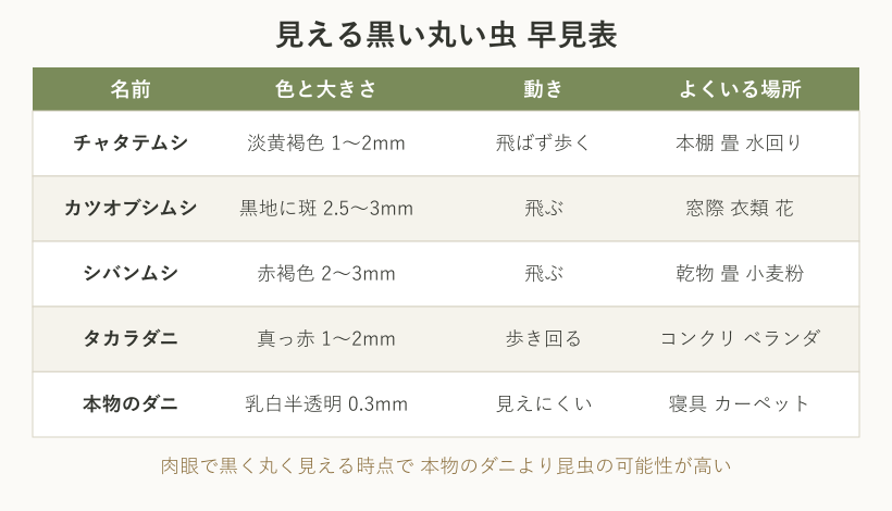 見える黒い丸い虫の早見比較表