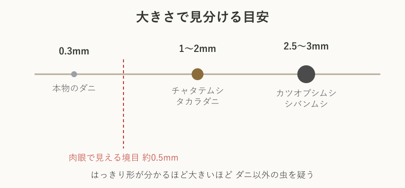 虫の大きさ比較の図解