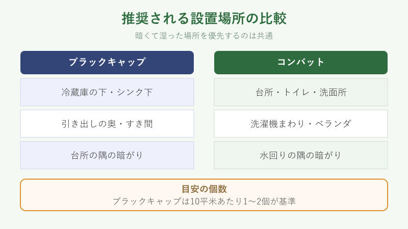 コンバットとブラックキャップの設置場所比較