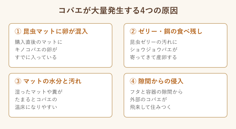 コバエが大量発生する4つの原因の図解