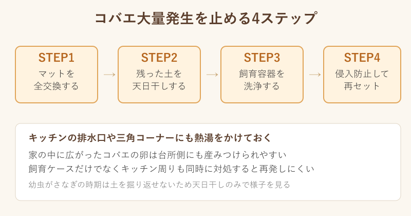 コバエ大量発生を止める4ステップの図解