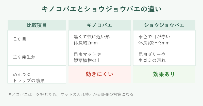 キノコバエとショウジョウバエの比較表