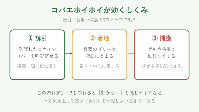 コバエ取りが効く3ステップの図