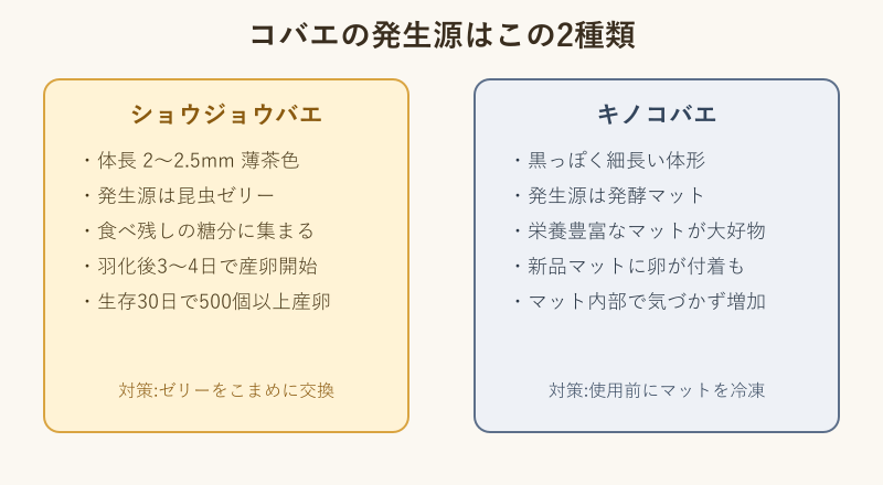 発生源2種類の比較図