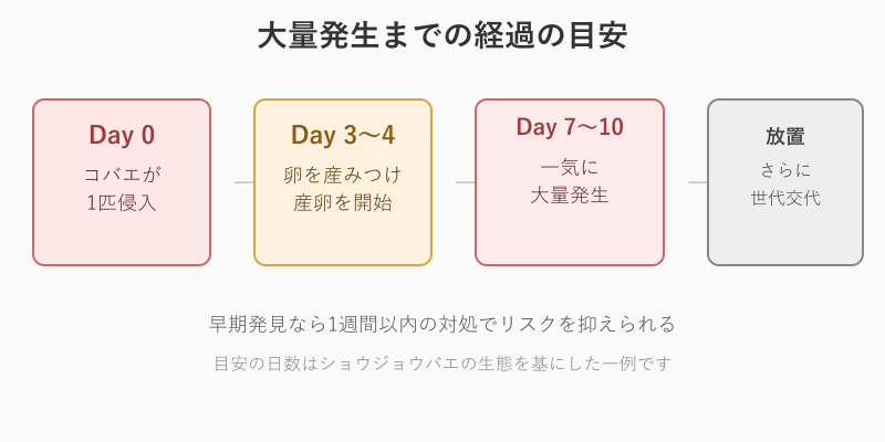 コバエ大量発生の経過図