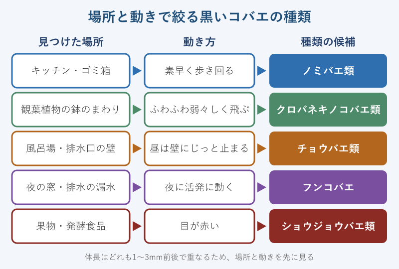 場所と動きから絞るコバエの種類