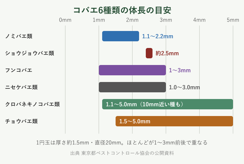 コバエ6種類の体長の目安を比べた図