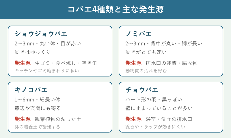 コバエ4種類と発生源の比較カード