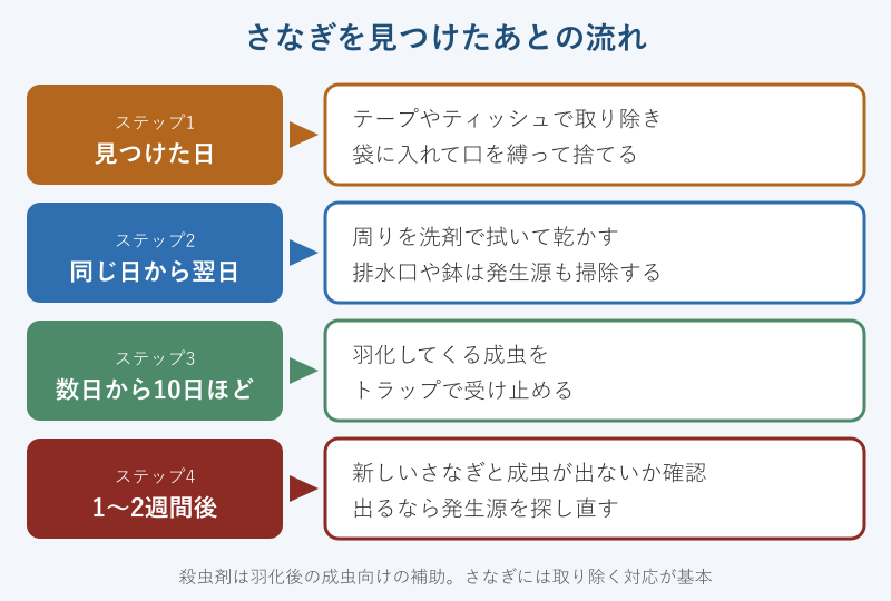 さなぎ発見後の処理と確認の流れ