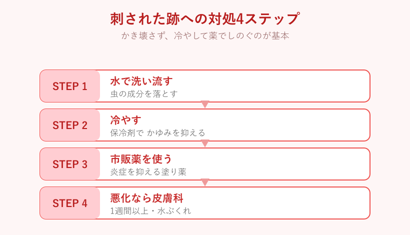 虫さされ後の対処ステップ図