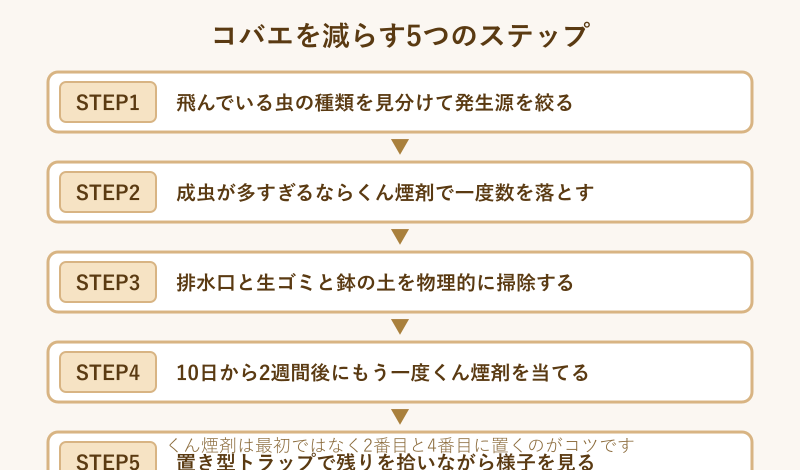 コバエを減らす5つのステップ図