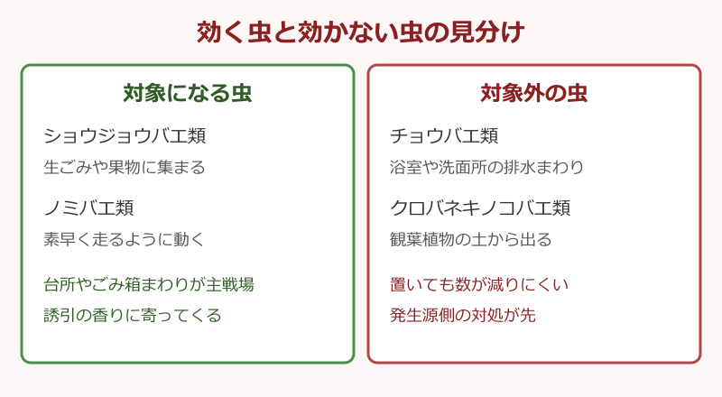 対象になる虫と対象外の虫の比較図
