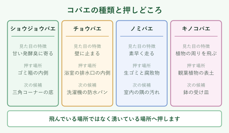 コバエの種類と押しどころのマップ