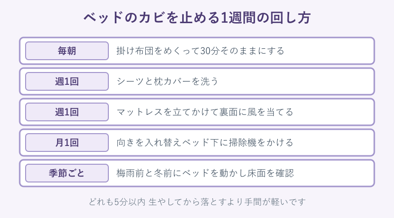 1週間のカビ予防ルーティン表